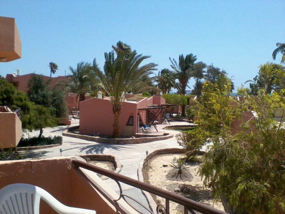 Balkonaussicht Eagles Paradise Abu Soma