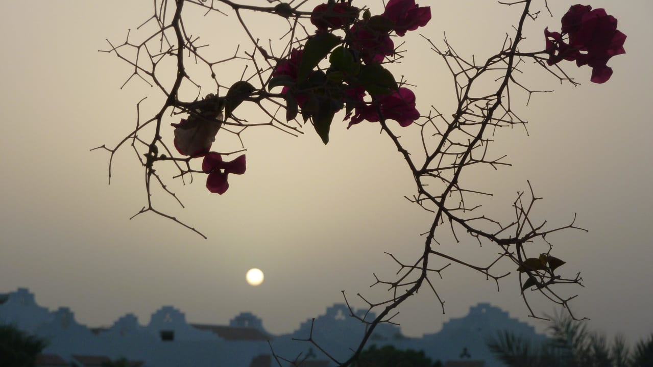 Sonnenuntergang Lahami Bay Beach Resort