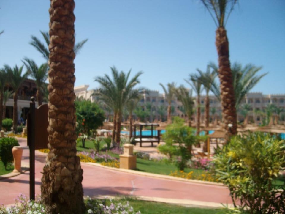 Zimmerblick Beach Albatros Resort