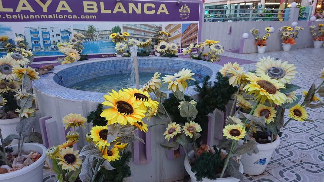 Pool Bei Juan Playa Blanca