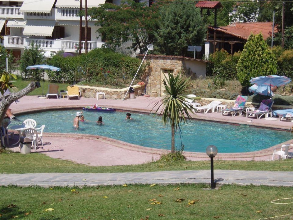 Pool am Nachmittag Hotel Jenny