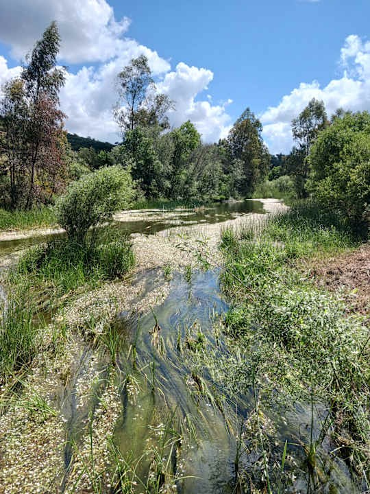 Sport & Freizeit Monte do Alento - Castro da Cola