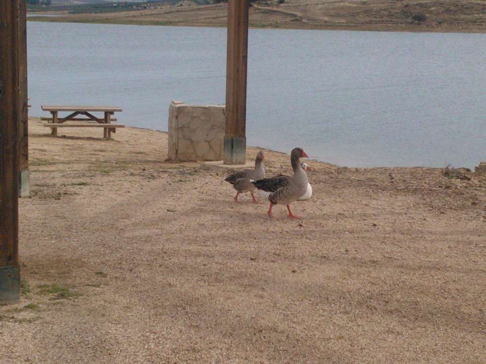 Playa del embalse cercana al hotel Hotel Aqualange