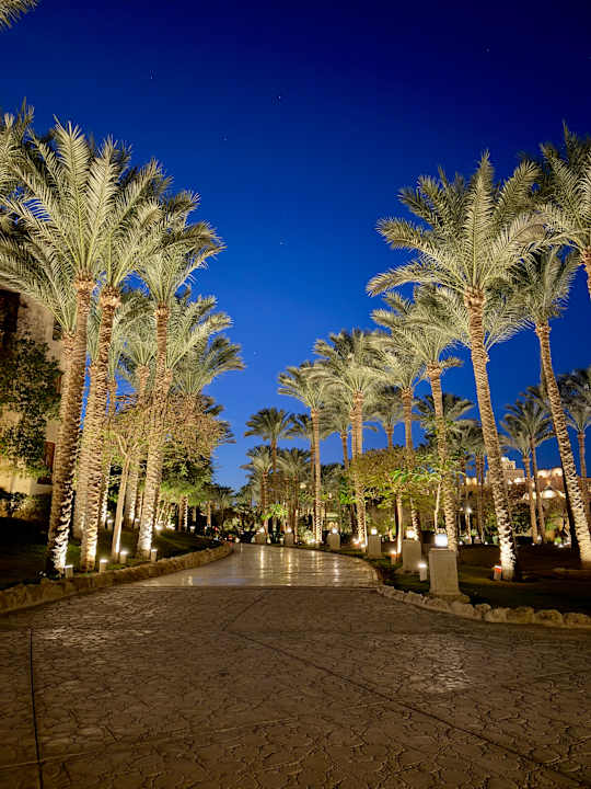 Gartenanlage Grand Makadi