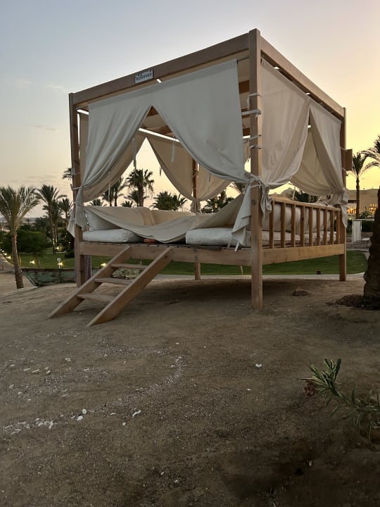 Gartenanlage Steigenberger Coraya Beach - Adults only