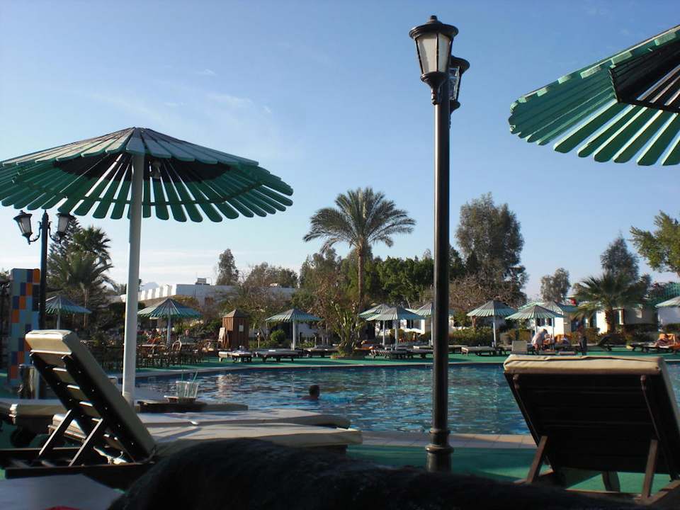 Pool bequeme Liegen Ghazala Beach