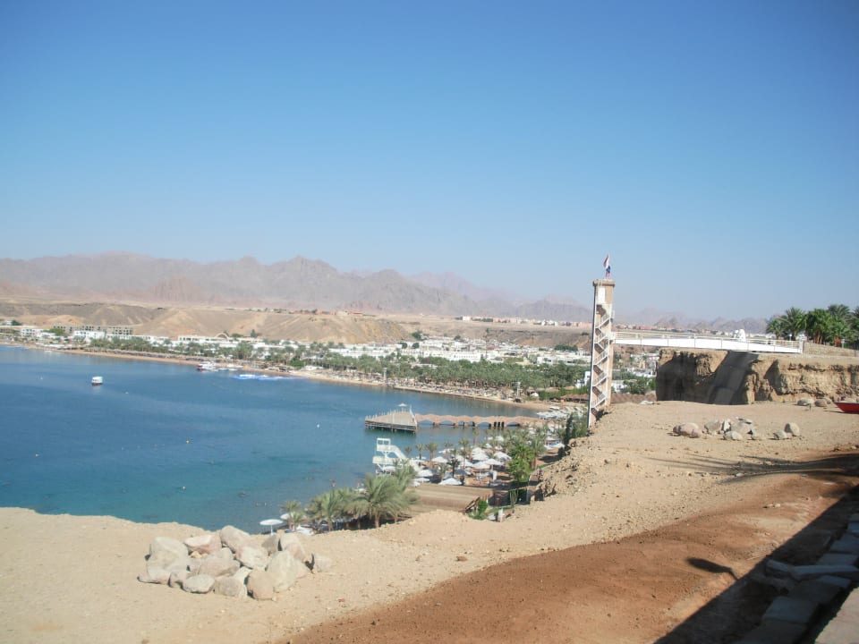 Blick auf den Strand Albatros Sharm Resort