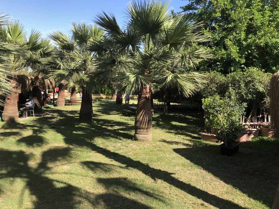 Gartenanlage Hane Family Resort