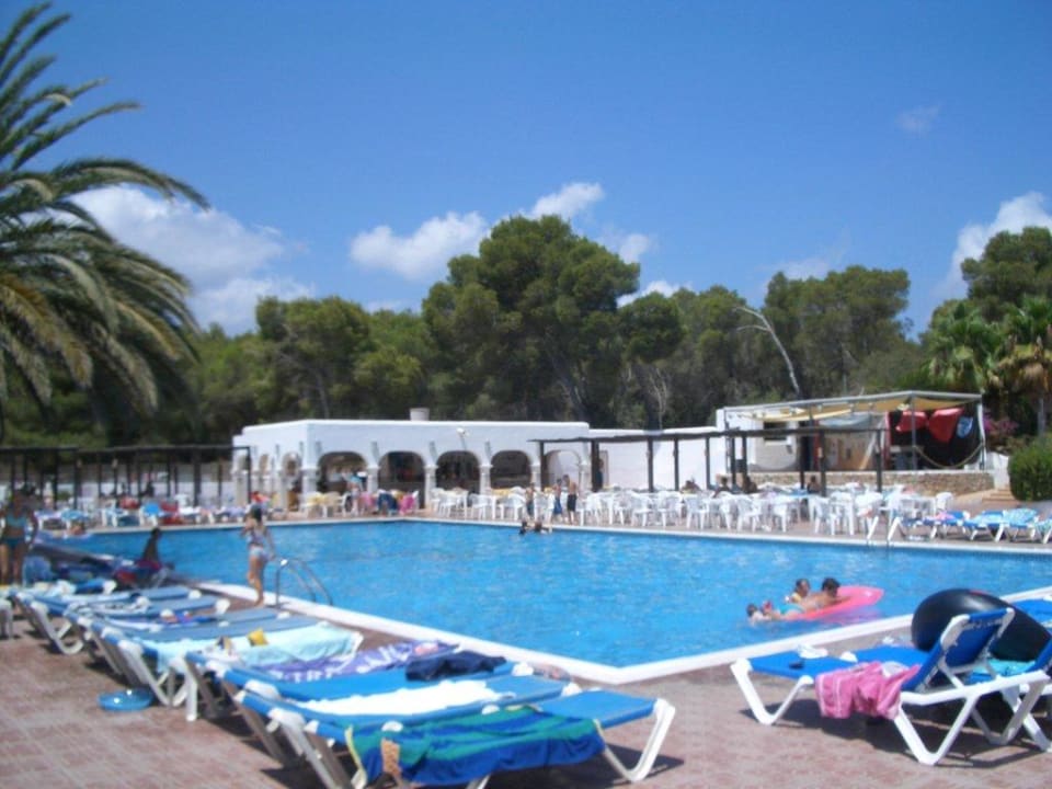 Pool und Bar Cala Llenya Resort Ibiza