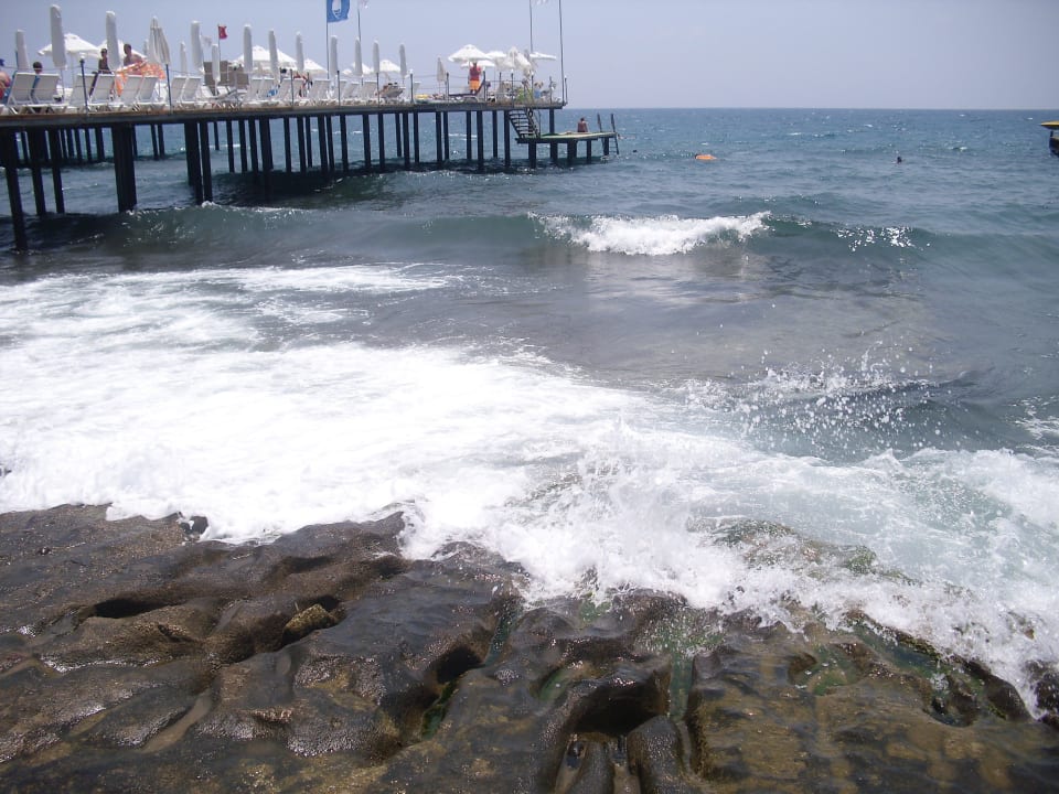 Felsen  Dizalya Palm Garden