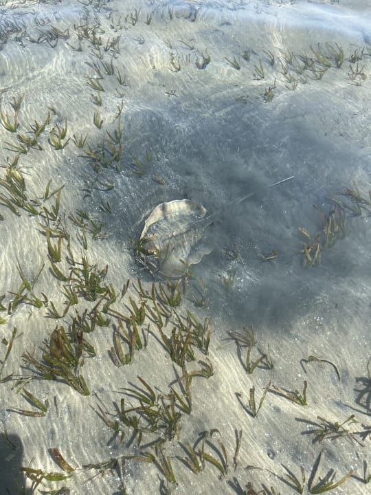 Strand Cleopatra Luxury Resort Makadi Bay