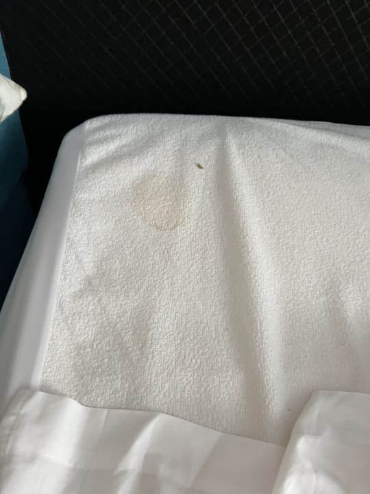 Zimmer Alcudia Garden Aparthotel