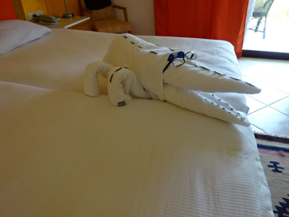 Zimmer Hotel Gorgonia Beach Resort