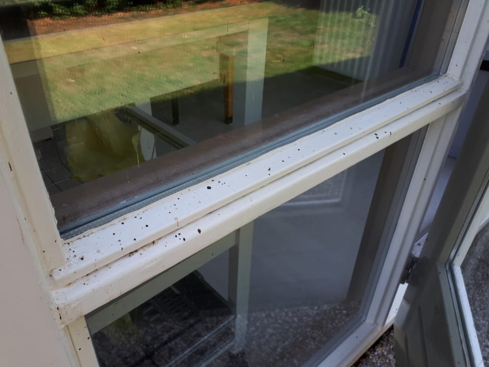 Außenansicht Het Grootslag Vakantiepark