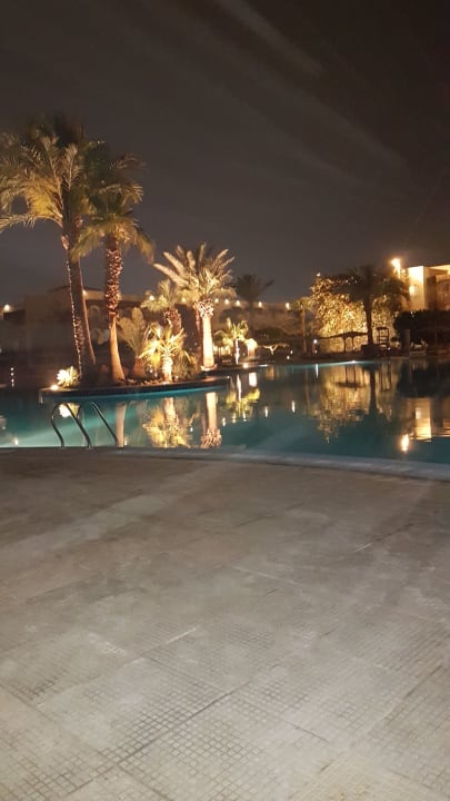 Gartenanlage Desert Rose