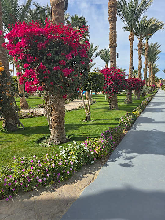 Gartenanlage Brayka Bay Resort