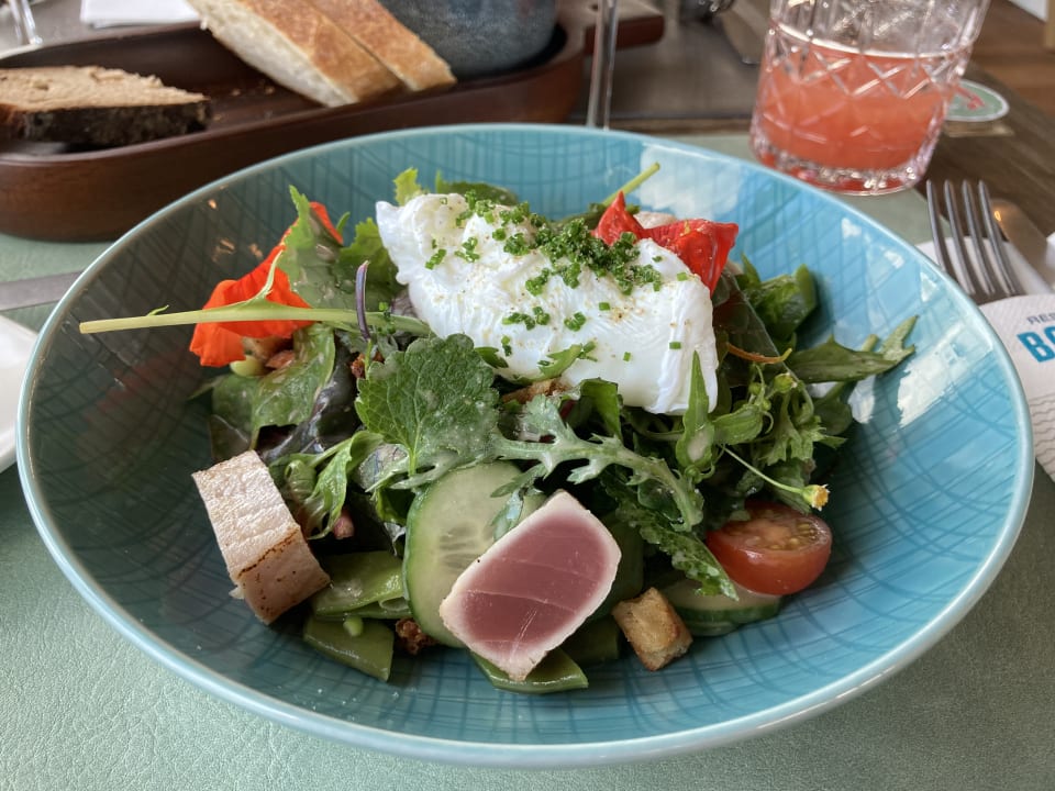 Gastro PAPA RHEIN - Hotel & Spa