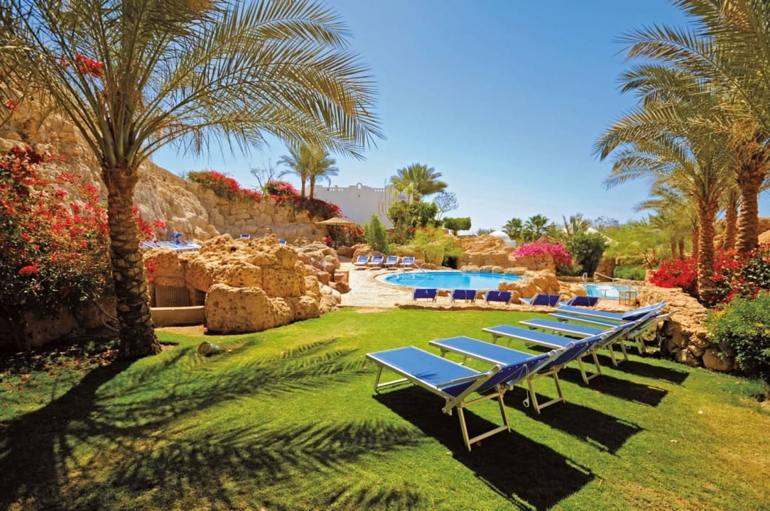 Spa Domina Coral Bay Resort, Diving , Spa & Casino