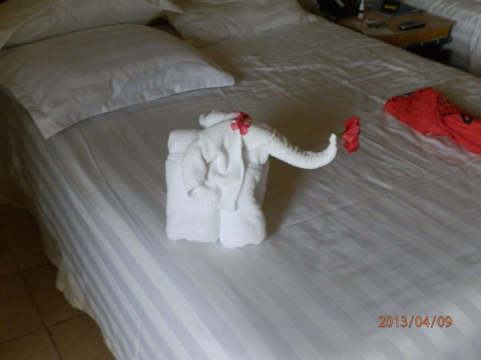 Empfangstierchen Viva Azteca by Wyndham - All Inclusive Resort