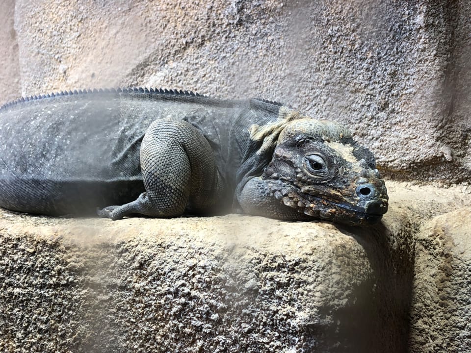 Sonstiges DORMERO Hotel Bonn - Windhagen