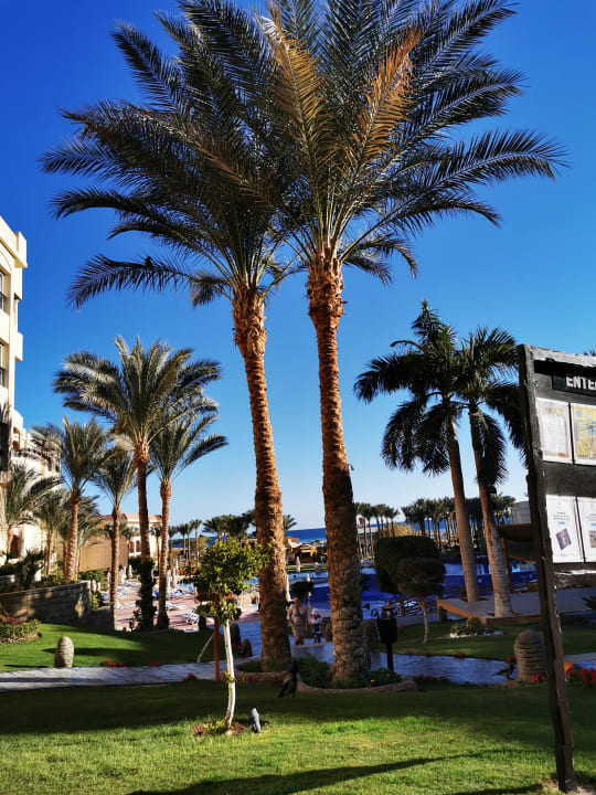 Pool Tropitel Sahl Hasheesh