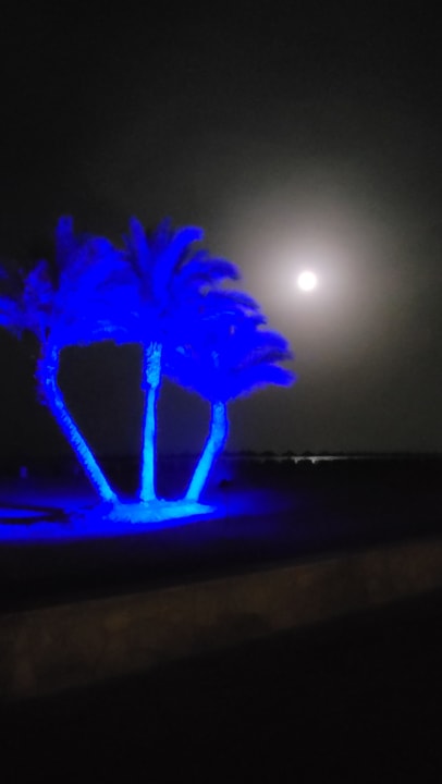 Ausblick Novotel Marsa Alam Beach Resort