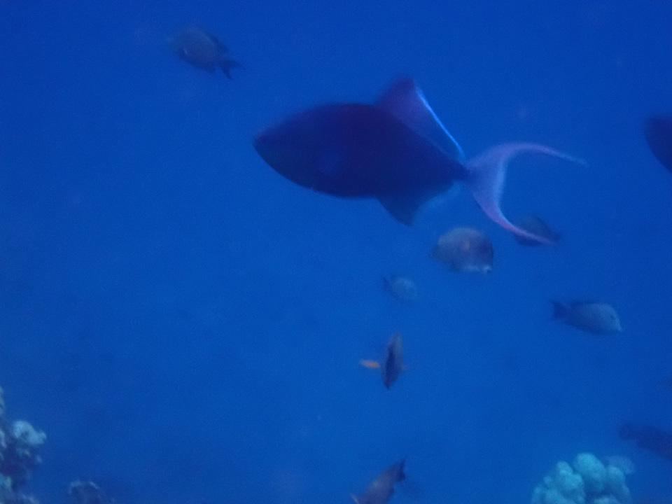 Strand Three Corners Sea Beach Resort