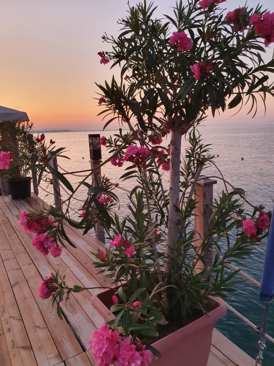 Strand VONRESORT Golden Beach