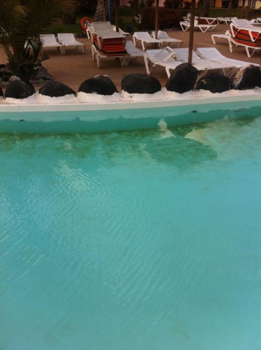 Der Pool SBH Fuerteventura Playa