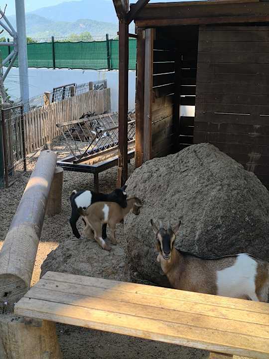 Gartenanlage Rixos Premium Tekirova