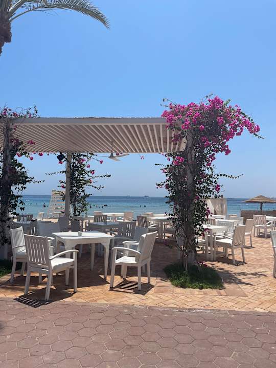 Gastro Fort Arabesque Resort, Spa & Villas