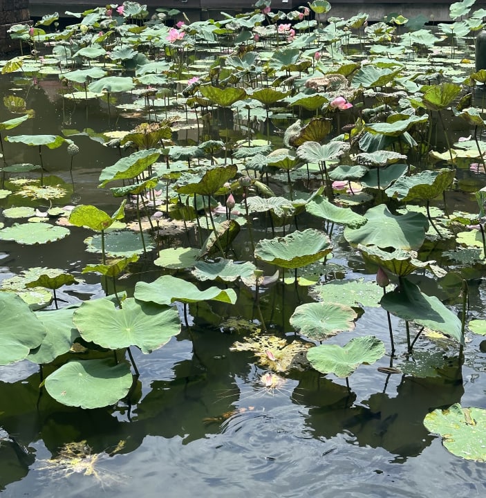 Gartenanlage Anantara Mai Khao Phuket Villas