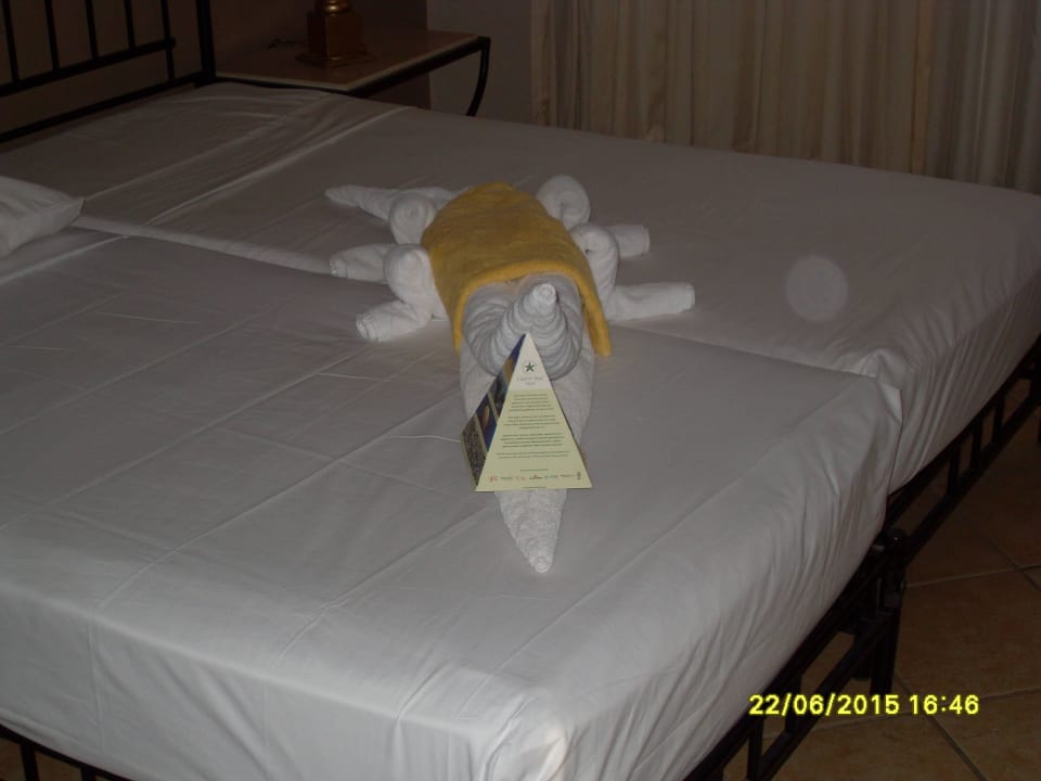 Handtuch falten Jaz Makadi Saraya Resort