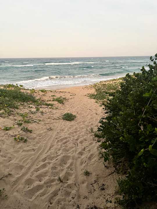 Strand Hotel Thonga Beach Lodge