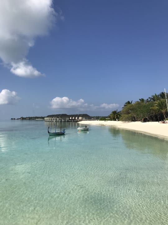 Strand Summer Island Maldives