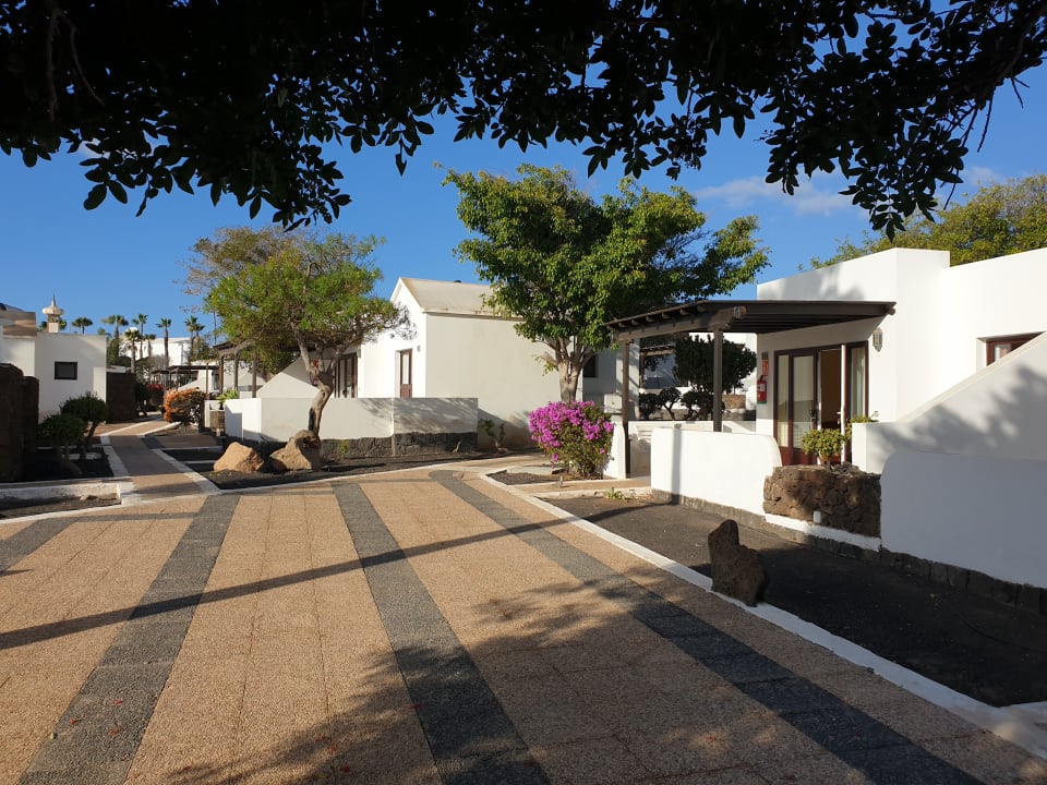 Gartenanlage Bungalows Playa Limones