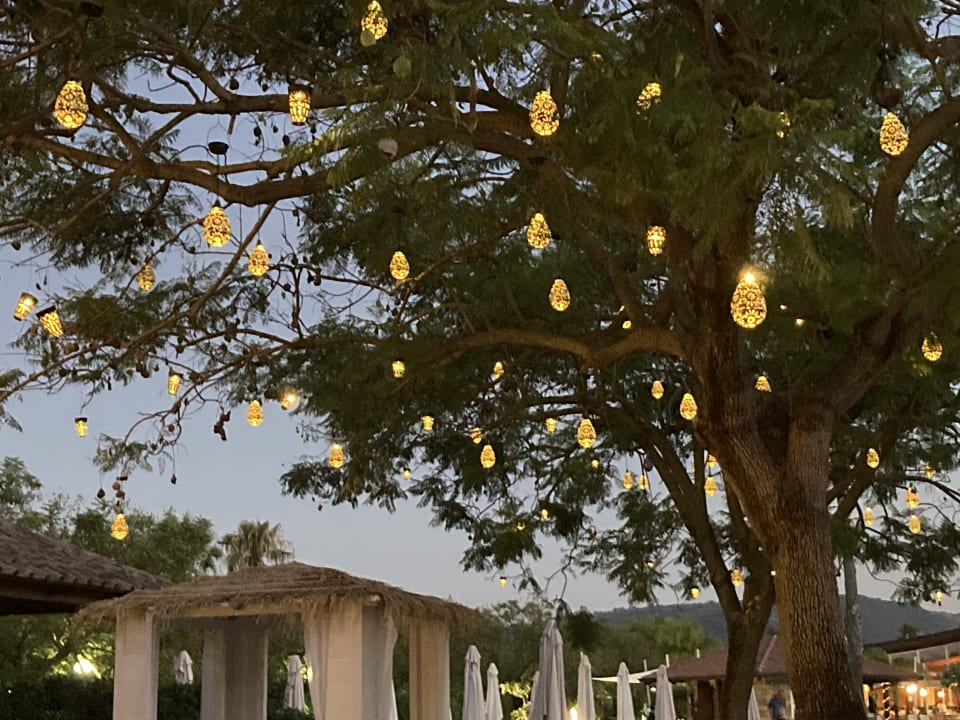 Gartenanlage TUI MAGIC LIFE Calabria