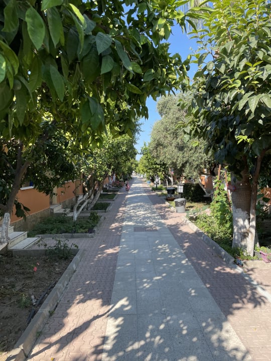 Gartenanlage Özlem Garden Hotel