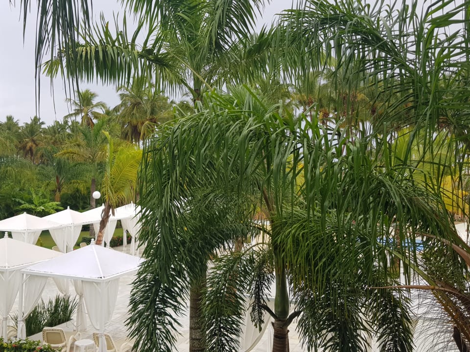 Blick aus dem Zimmer, Richtung Meer... Bahia Principe Luxury Bouganville