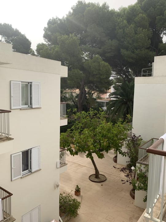 Ausblick Aparthotel Houm Plaza Son Rigo