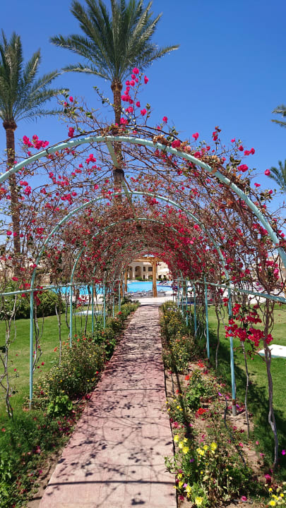 Gartenanlage Cleopatra Luxury Resort Makadi Bay