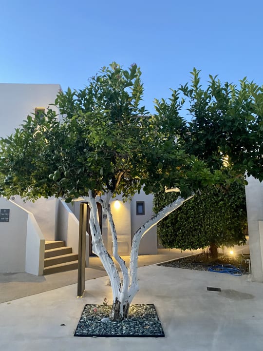 Gartenanlage Nefeli Hotel Rethymno