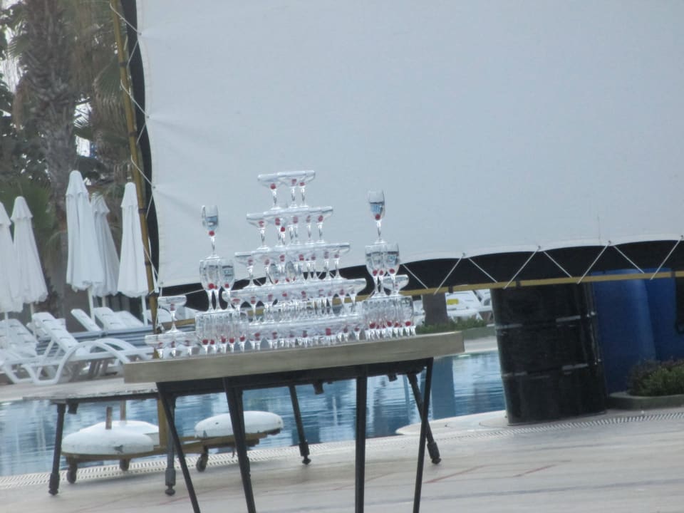 Гала ночь Botanik Hotel & Resort