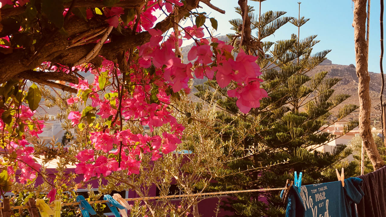 Zimmer Hotel Rosmarie