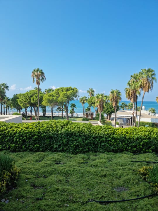 Ausblick Acanthus Cennet Barut Collection