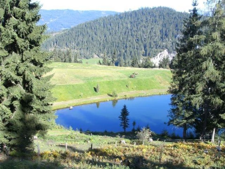 Badesee Haus Johanna