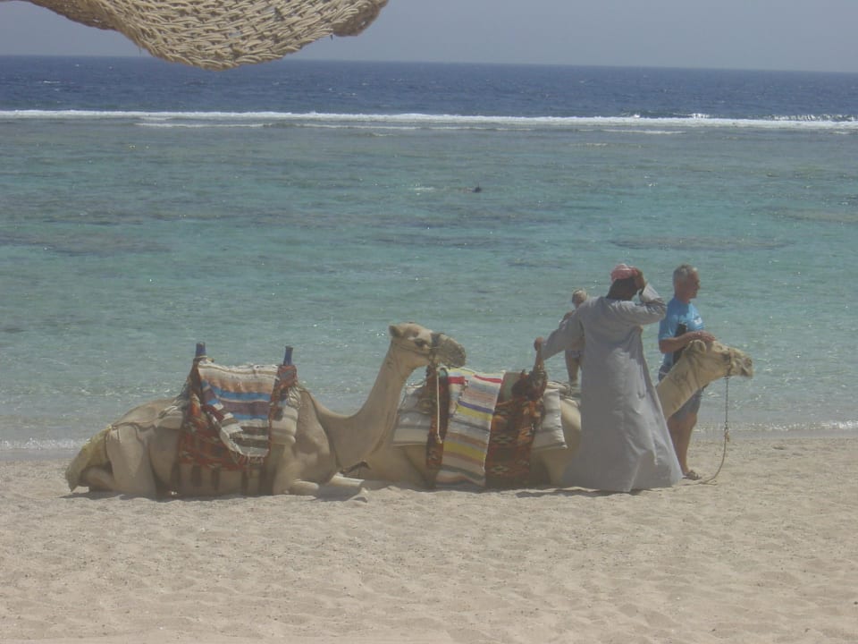 Am Strand Radisson Blu Resort, El Quseir