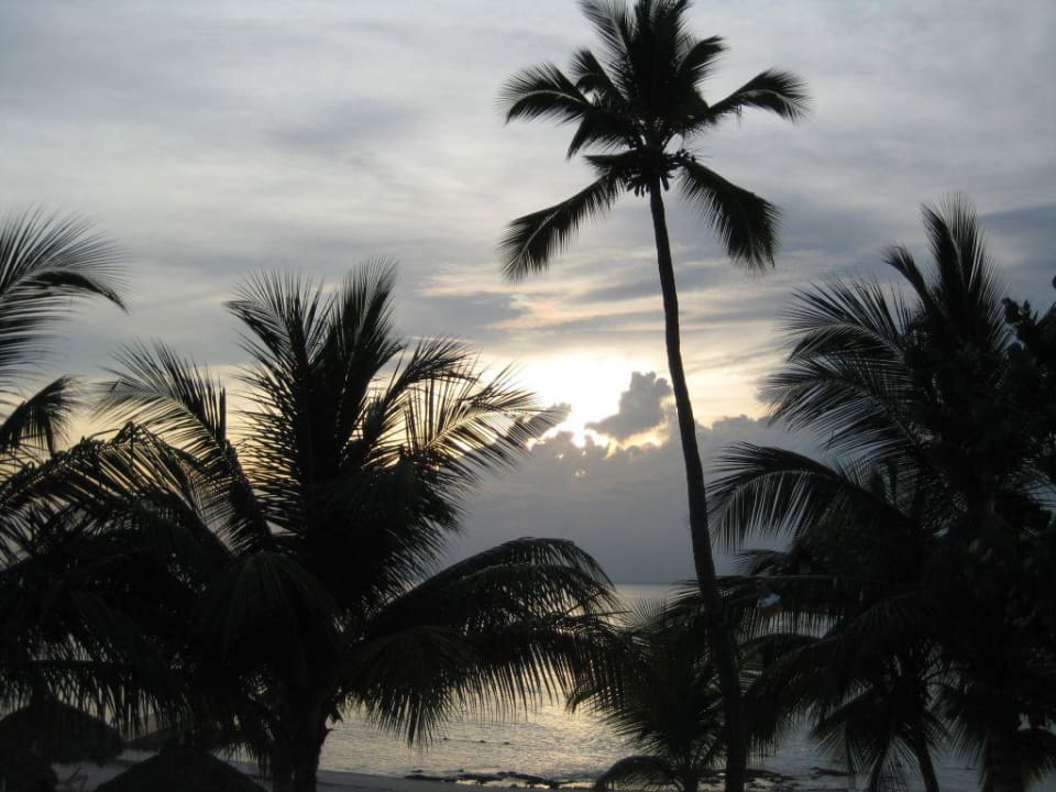 Balkonblick am Abend Hotel Viva Dominicus Palace by Wyndham-All Inclusive Resort