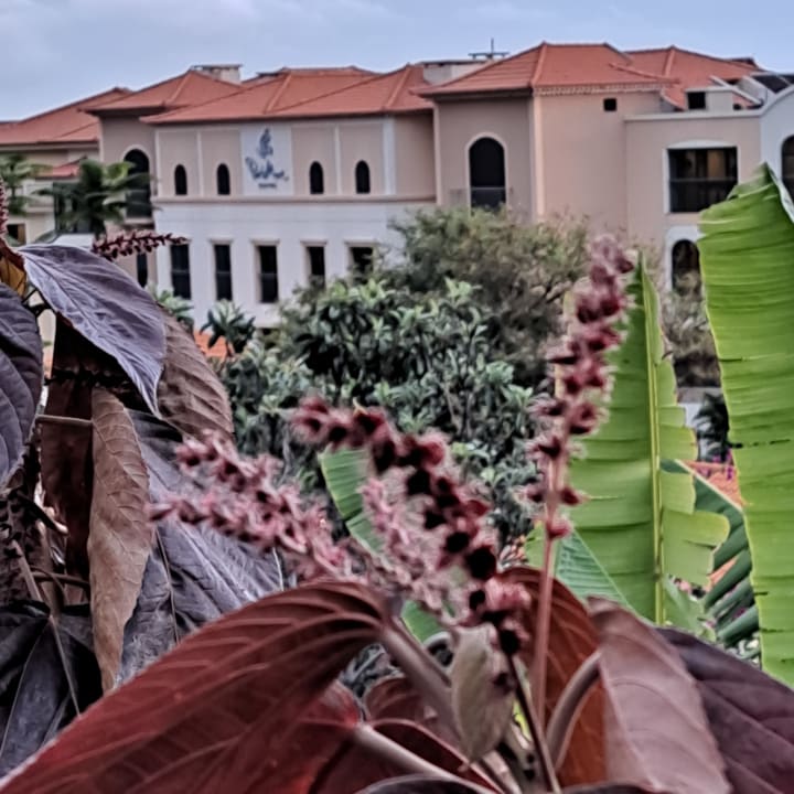 Außenansicht Hotel Porto Mare - PortoBay