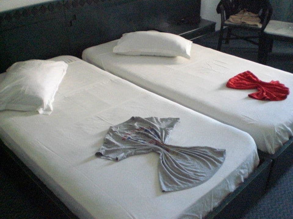 Zimmer Hotel Sunnydays L'Albatros/Albatros